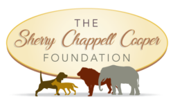 Sherry-Chappell-Cooper-Foundation-logo-final-no-text